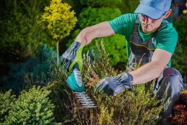 landscaping services Weaubleau